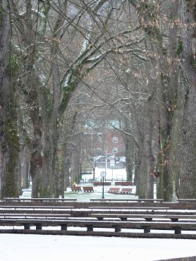 Snow on ground in Park Blocks