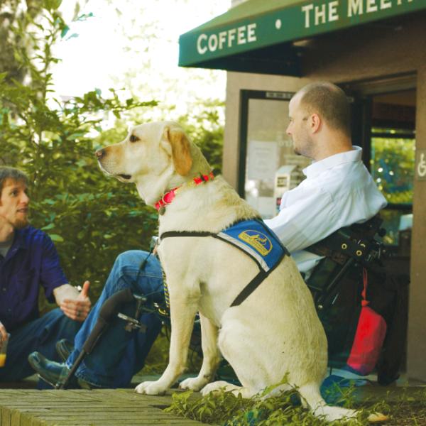Photograph of two people facing each other and talking. One person is in a wheelchair. Service dog in the foreground.